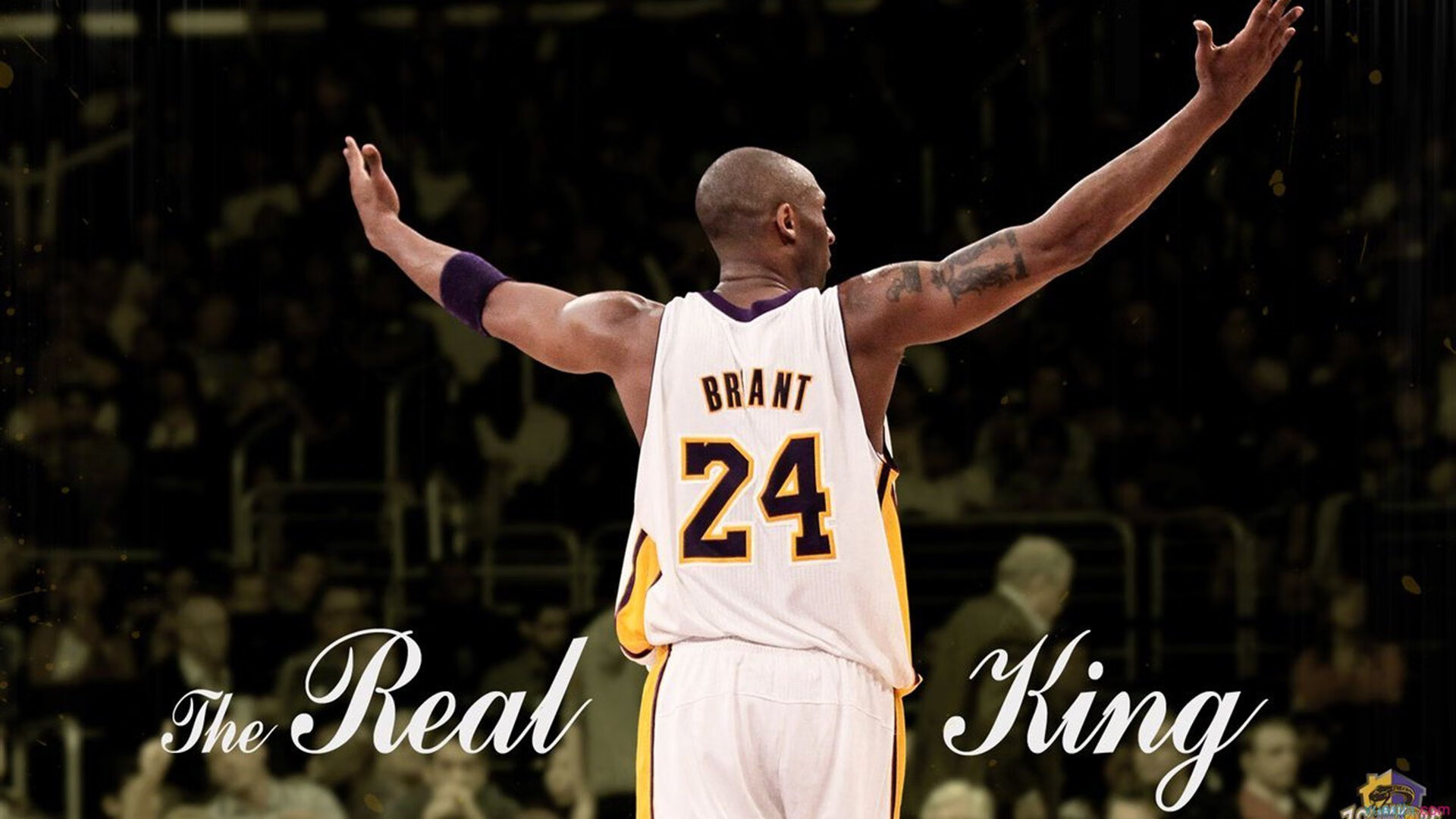 澳网：澳大利亚猛将再夺男单冠军，实力震惊全球！，2021年澳大利亚网球男单冠军是谁