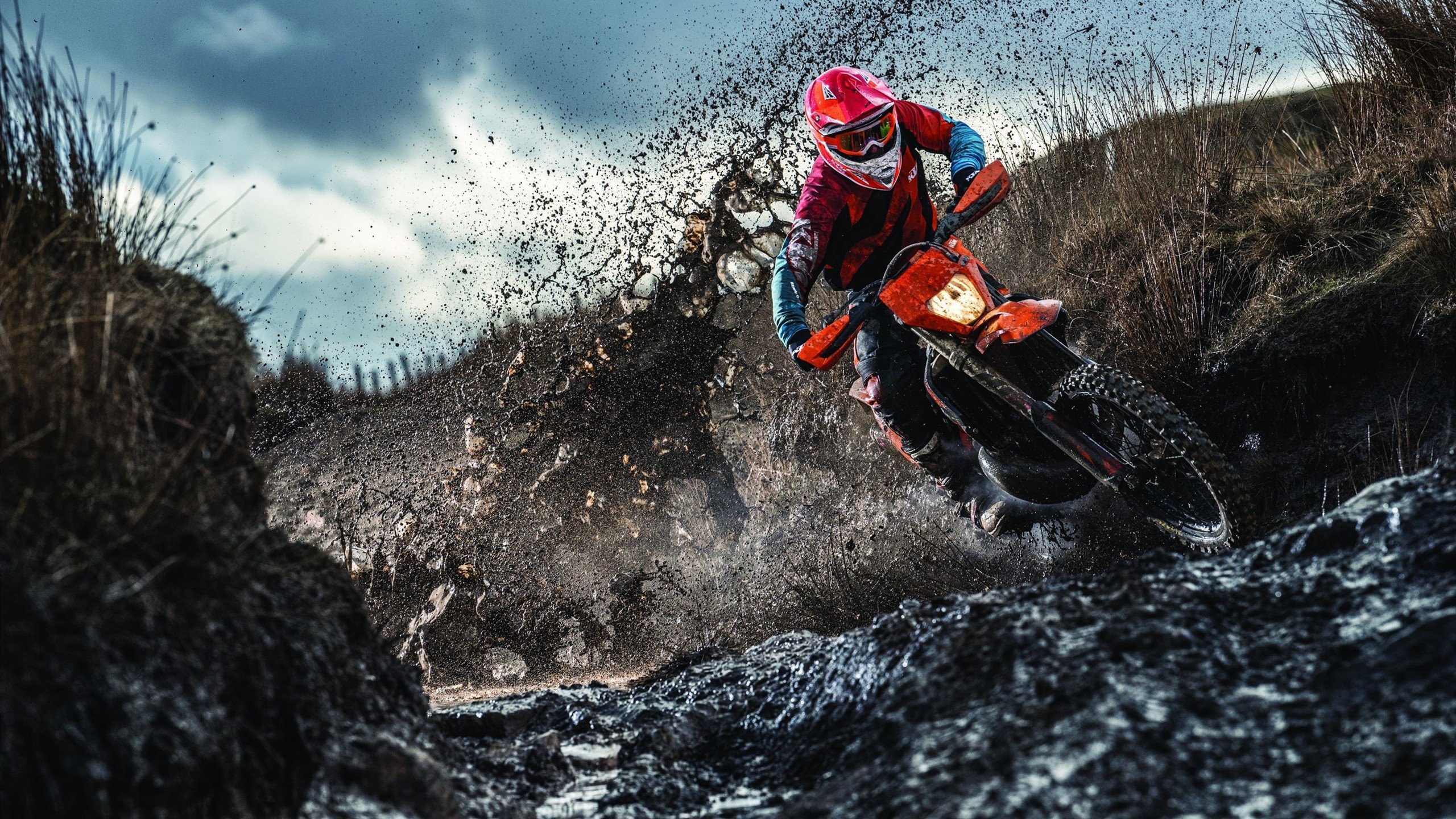 中国就WTO“特殊待遇”问题的立场与应对策略